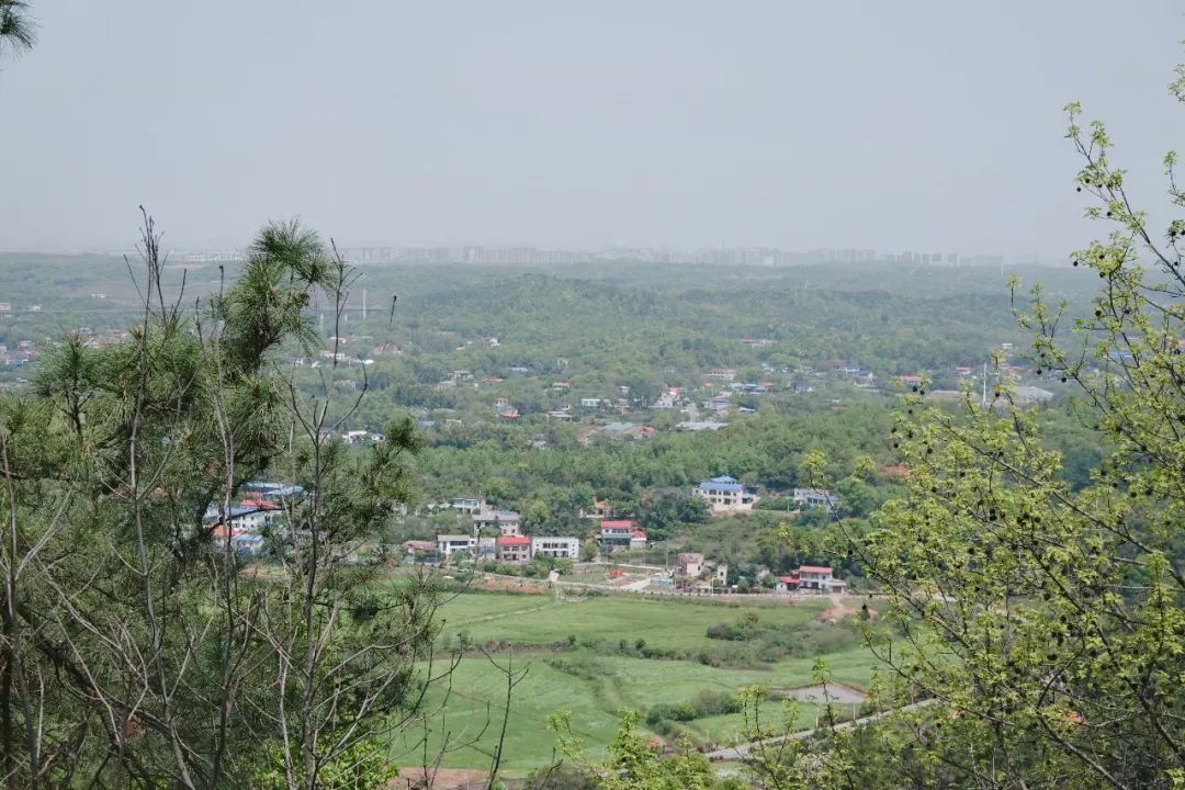 DƬ